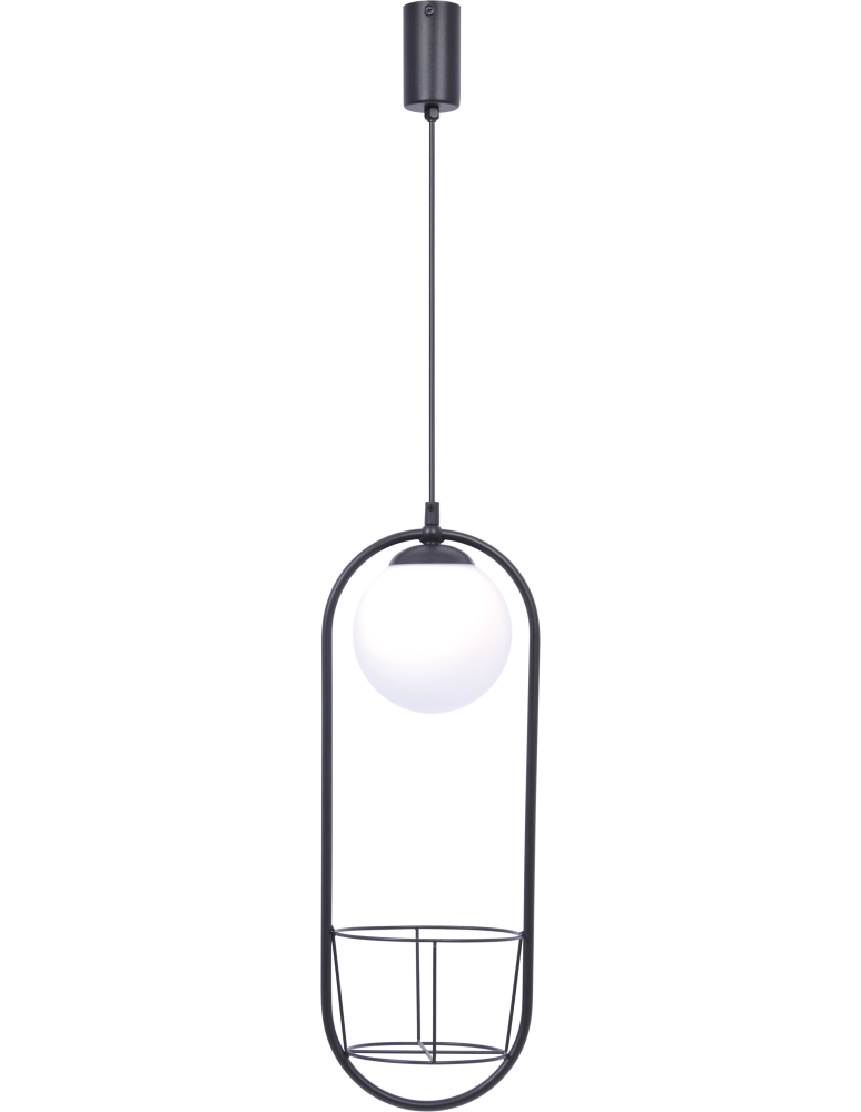 Pendant lamps spheres - Zuma Line Plant 1 Flower Pot Pendant Lamp 1Xe14 Black 5003 - product kolory-swiatla.pl 1