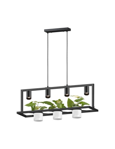 Zuma Line Planter Lampa Wisząca Na Kwiaty Czarny P0536-04B-P7Ab