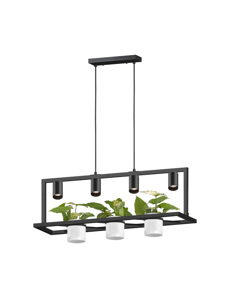 Pendant lamps - Zuma Line Planter Flower Pendant Lamp Black P0536-04B-P7Ab. - product kolory-swiatla.pl 1