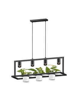 Zuma Line Planter Lampa Wisząca Na Kwiaty Czarny P0536-04B-P7Ab
