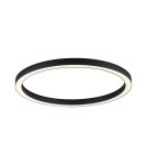Ceiling lamps - Paul Neuhaus Pure-Lines 70cm Ceiling Light With Remote Control With Light Color Control And Dimming Anthracite 6306-13 - product 1