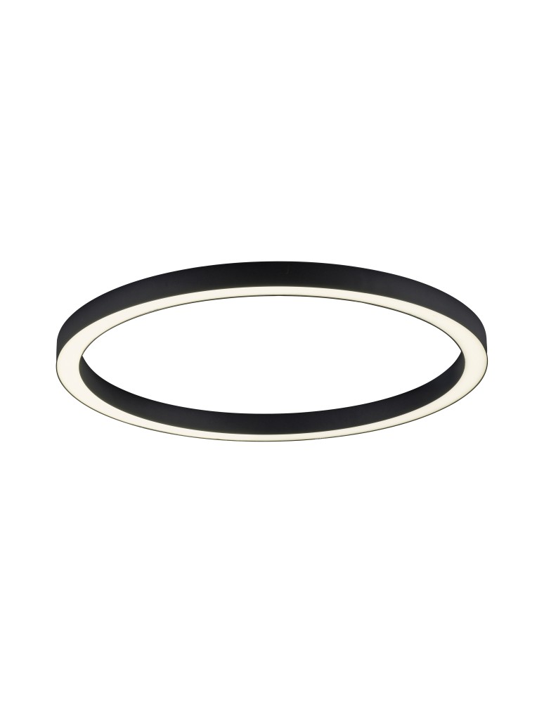 Ceiling lamps - Paul Neuhaus Pure-Lines 70cm Ceiling Light With Remote Control With Light Color Control And Dimming Anthracite 6306-13 - product kolory-swiatla.pl 1