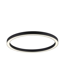Paul Neuhaus Pure-Lines 70cm Sufitowa Z Pilotem Z Regulacją Barwy Światła I Ściemnianiem Antracyt 6306-13