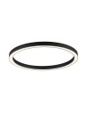 Paul Neuhaus Pure-Lines 70cm Ceiling Light With Remote Control With Light Color Control And Dimming Anthracite 6306-13