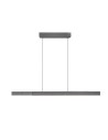 Paul Neuhaus Pure-Moto-Rise Pendant with Adjustable Height, Width, and Color of Light by Remote Control Dark Gray 2545-15