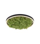 Ceiling lamps - Leuchten Direkt Green Ritu 39cm Icelandic Moss Dimmable 3-Stage Ordinary Switch 3000K Black/Green 15391-66 - product 1