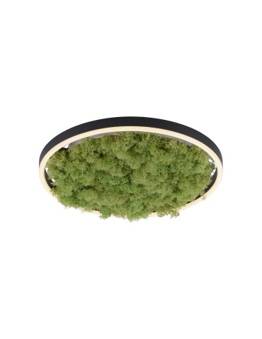 Leuchten Direkt Green Ritu 39cm Icelandic Moss Dimmable 3-Stage Ordinary Switch 3000K Black/Green 15391-66