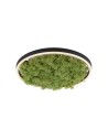 Leuchten Direkt Green Ritu 39cm Icelandic Moss Dimmable 3-Stage Ordinary Switch 3000K Black/Green 15391-66