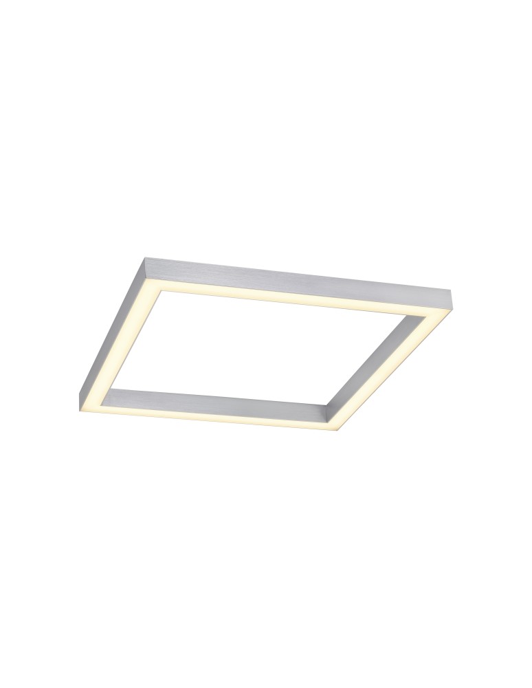 Ceiling lamps - Paul Neuhaus Pure-Lines 55cm Ceiling Ceiling Light with Remote Control with Light Color Control and Dimming Aluminum 6022-95 - product kolory-swiatla.pl 1