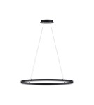 Pendant lamps - Paul Neuhaus Titus 80cm Hanging Oval Smooth Dimmable Function Ordinary Wall Switch Anthracite 2392-13 - product 1