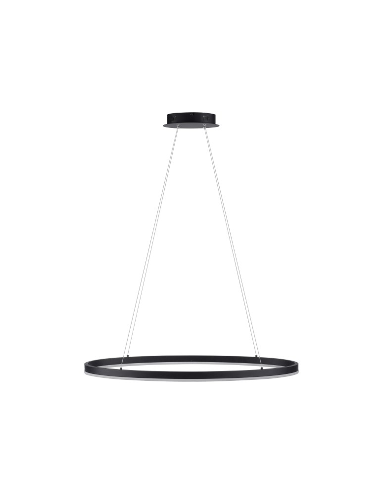 Pendant lamps - Paul Neuhaus Titus 80cm Hanging Oval Smooth Dimmable Function Ordinary Wall Switch Anthracite 2392-13 - product kolory-swiatla.pl 1