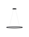 Paul Neuhaus Titus 80cm Hanging Oval Smooth Dimmable Function Ordinary Wall Switch Anthracite 2392-13
