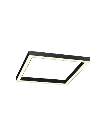 Paul Neuhaus Pure-Lines 55cm Ceiling Light with Remote Control and Dimming Anthracite 6022-13