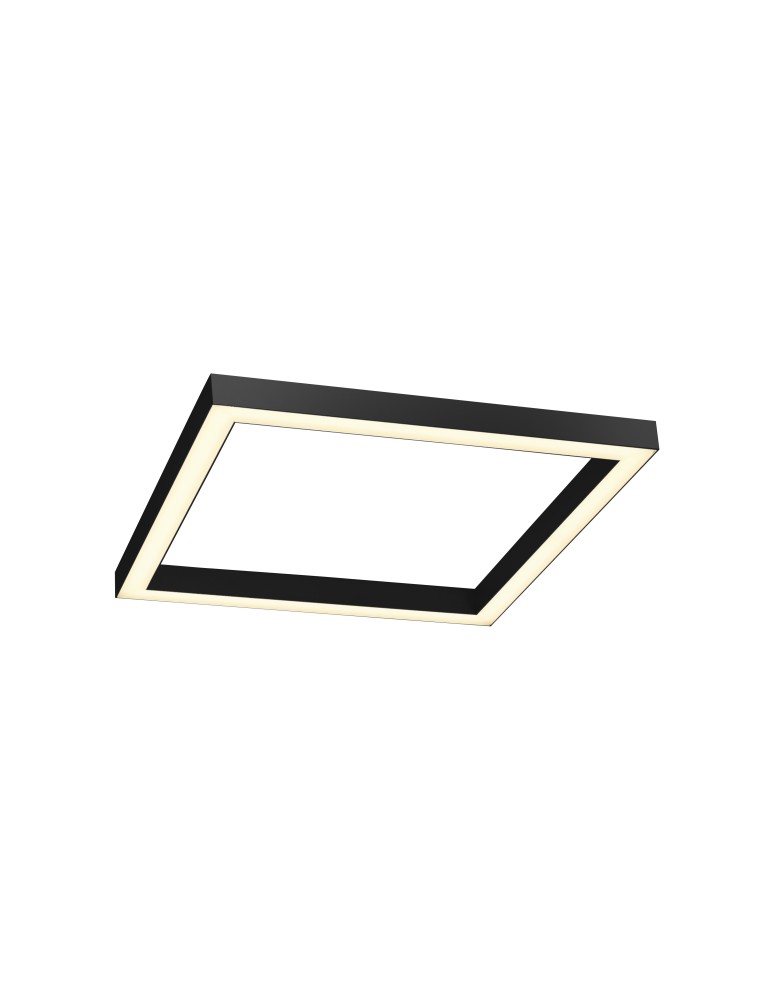 Ceiling lamps - Paul Neuhaus Pure-Lines 55cm Ceiling Light with Remote Control and Dimming Anthracite 6022-13 - product kolory-swiatla.pl 1