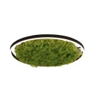 Ceiling lamps - Leuchten Direkt Green Ritu 58cm Icelandic Moss Dimmable 3-Stage Ordinary Switch 3000K Black/Green 15392-66 - product 1