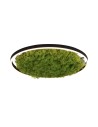 Leuchten Direkt Green Ritu 58cm Icelandic Moss Dimmable 3-Stage Ordinary Switch 3000K Black/Green 15392-66