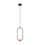 Pendant lamps spheres - Italux Lupus Pendant Black, white 1xG9 25W PND-3965-1-BK - product 1