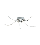 LED ceiling lamps - Zuma Line Focus Ceiling Light with Light Colour Switch 3000K/4000K/6000K Chrome 20023-5CCH. - product 4