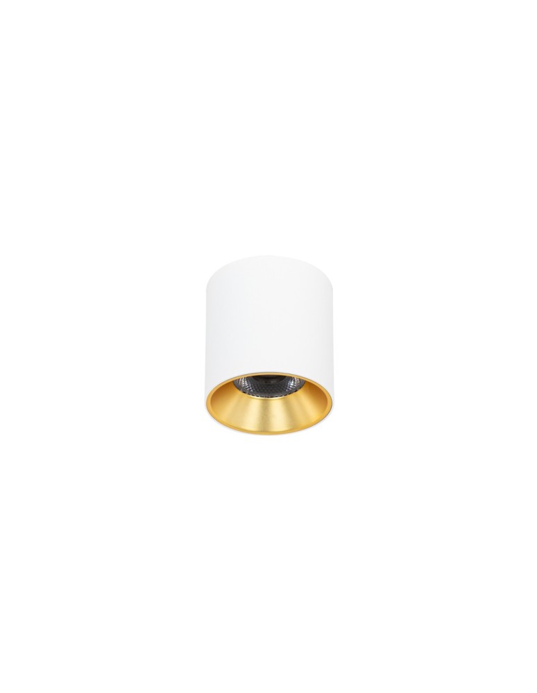 LED ceiling luminaires - Italux Altisma Surface-mounted White matt, gold interior 1xLED 10W 3000K CLN-6677-75-WH-GD-3K - product kolory-swiatla.pl 1
