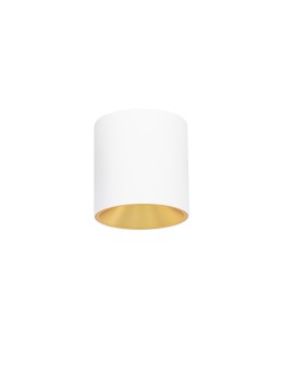 Italux Altisma Surface-mounted White matt, gold interior 1xLED 15W 3000K CLN-6677-95-WH-GD-3K - product 2