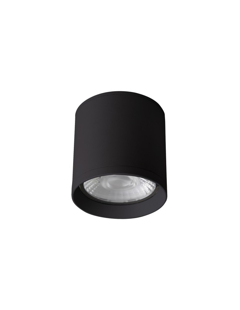 Outdoor ceiling lamps - Italux Cervia 3K Exterior Surface Mounted Black Sandblasted IP54 1xLED 15W 3000K OPN-2007-3K - product kolory-swiatla.pl 2