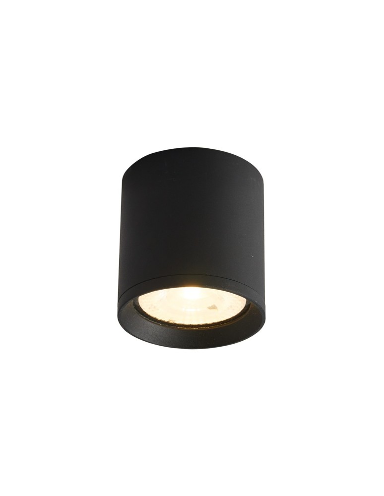 Outdoor ceiling lamps - Italux Cervia 4K Outdoor Surface Mounted Black Sandblasted IP54 1xLED 15W 4000K OPN-2007-4K - product kolory-swiatla.pl 1