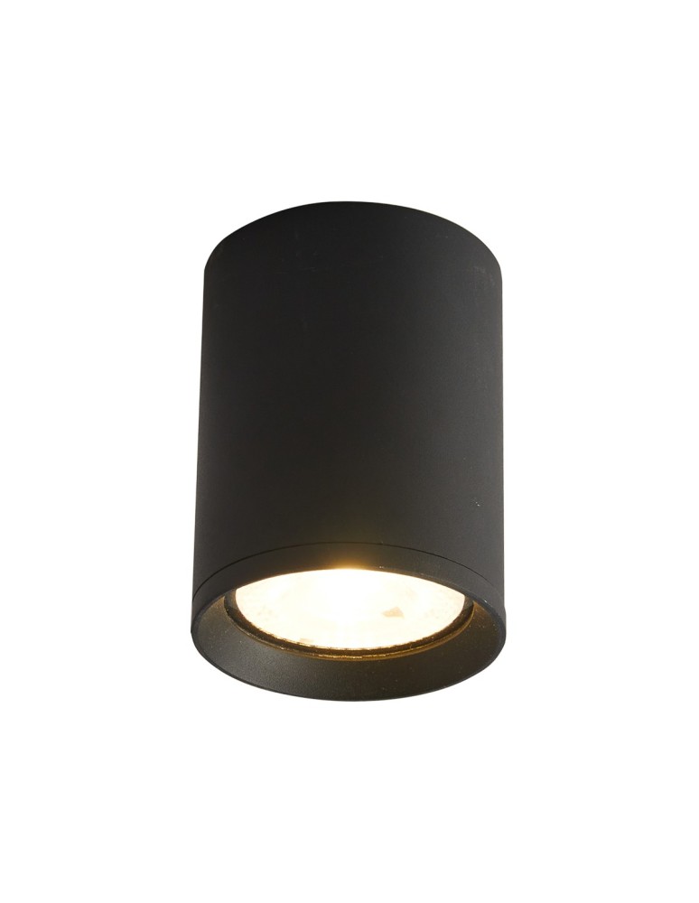 Outdoor ceiling lamps - Italux Cervia 4K Outdoor Surface Mounted Black Sandblasted IP54 1xLED 9W 4000K OPN-2003-4K - product kolory-swiatla.pl 1