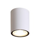 Outdoor ceiling lamps - Italux Fano 3K Exterior Surface Mounted White Sandblasted IP54 1xLED 6W 3000K OPN-2006-3K - product 1