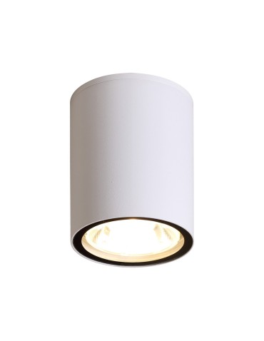 Italux Fano 3K Exterior Surface Mounted White Sandblasted IP54 1xLED 6W 3000K OPN-2006-3K