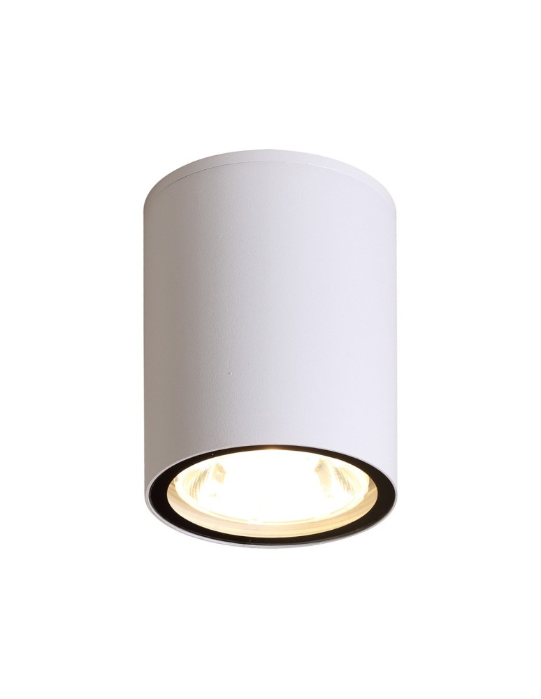 Outdoor ceiling lamps - Italux Fano 4K Exterior Surface Mounted White Sandblasted IP54 1xLED 6W 4000K OPN-2006-4K - product kolory-swiatla.pl 1