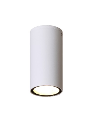 Italux Fano 4K Zewnętrzna Natynkowa Biały piaskowany IP54 1xLED 3W 4000K OPN-2002-4K