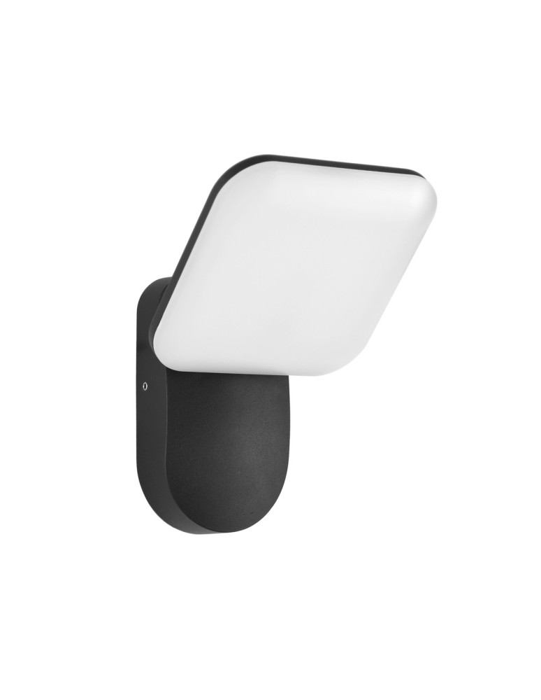 Outdoor wall lamps - Italux Nammi Outdoor Wall Mounted Black Sandblasted IP54 1xLED 12W 3000K OWL-6206-3K - product kolory-swiatla.pl 1