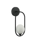 Wall lamps - Italux Lupus Wall lamp Black 1xG9 40W WL-3965-1-BL - product 3