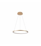 Pendant lamps circles - Italux Vinola Pendant Gold 1xLED 24W 3000K+4000K PND-56135B-040RPC-GD-3KS4K - product 1