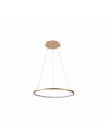 Italux Vinola Pendant Gold 1xLED 24W 3000K+4000K PND-56135B-040RPC-GD-3KS4K
