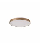 LED ceiling lamps - Italux Vico Plafond Gold 1xLED 38W 3000K+4000K PLF-53675-048RC-GD-3KS4K - product 2