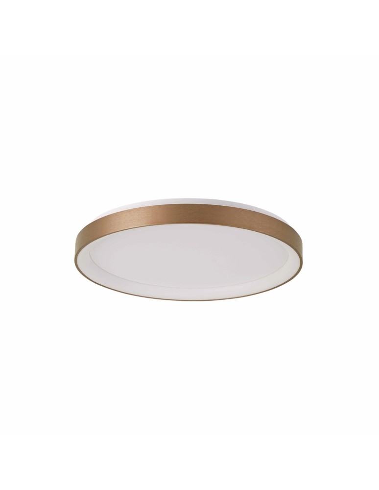LED ceiling lamps - Italux Vico Plafond Gold 1xLED 48W 3000K+4000K PLF-53675-058RC-GD-3KS4K-TRDIMM - product kolory-swiatla.pl 2