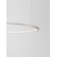 Luces Exclusivas TOLUCA Wisząca Nowoczesna srebrny i odcienie srebra 1xLED max 58W 3000K LE42788