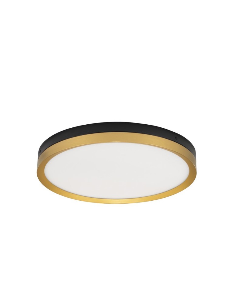 Ceiling lamps - Luces Exclusivas BANE Modern Ceiling Black 1xLED max 31W 3000K LE43228 - product kolory-swiatla.pl 1