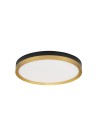 Luces Exclusivas BANE Modern Ceiling Black 1xLED max 31W 3000K LE43228