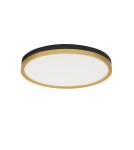 Ceiling lamps - Luces Exclusivas BANE Modern Ceiling Black 1xLED max 37W 3000K LE43229 - product 1