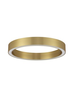 Luces Exclusivas MILPA Ceiling Modern Gold and shades of gold 1xLED max 40W 3000K LE43283