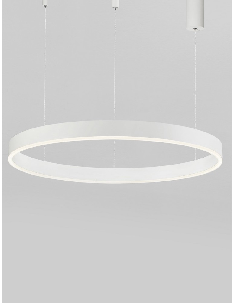 Lampy wiszące - Luces Exclusivas JACA Wisząca Nowoczesna biały 1xLED max 50W 2700-6000K LE43513 - produkt kolory-swiatla.pl 2