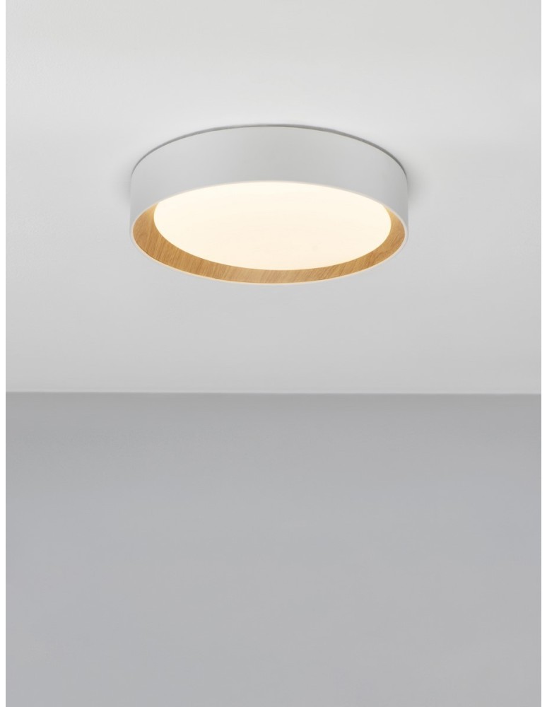 Ceiling lamps - Luces Exclusivas ROSITA Modern Ceiling White 1xLED max 30W 3000K LE43583 - product kolory-swiatla.pl 2