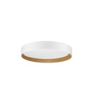 Ceiling lamps - Luces Exclusivas ROSITA Modern Ceiling White 1xLED max 50W 3000K LE43585 - product 1