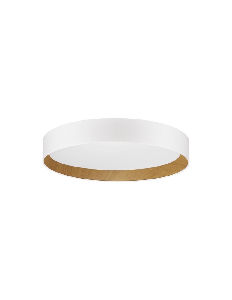 Ceiling lamps - Luces Exclusivas ROSITA Modern Ceiling White 1xLED max 50W 3000K LE43585 - product kolory-swiatla.pl 1