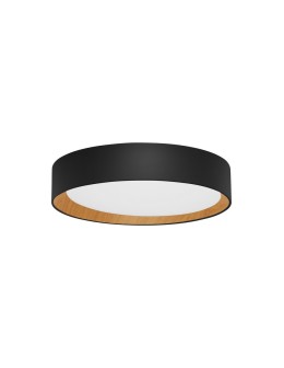 Luces Exclusivas ROSITA Modern Ceiling Black 1xLED max 30W 3000K LE43586