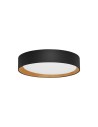Luces Exclusivas ROSITA Modern Ceiling Black 1xLED max 30W 3000K LE43586
