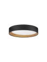 Luces Exclusivas ROSITA Modern Ceiling Black 1xLED max 40W 3000K LE43587