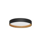 Ceiling lamps - Luces Exclusivas ROSITA Modern Ceiling Black 1xLED max 50W 3000K LE43588 - product 1